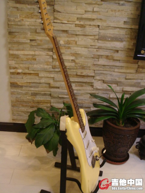 DSC02503.JPG