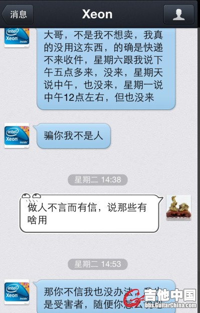鸽子12.jpg