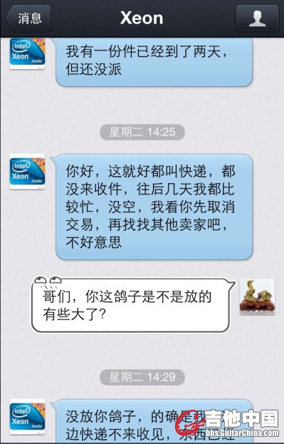 鸽子10.jpg