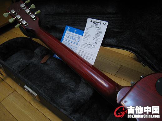 gibson 2006 ps 013.jpg