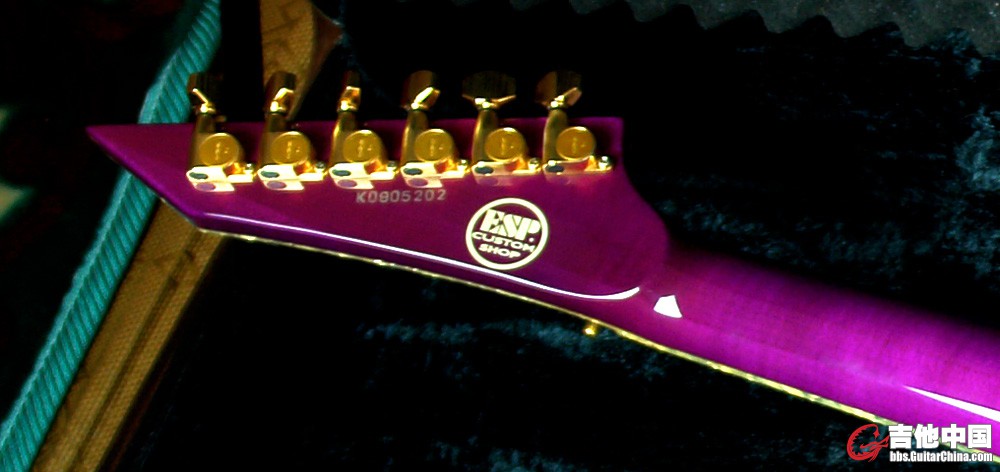 ESP Horizon Custom Shop_3.jpg