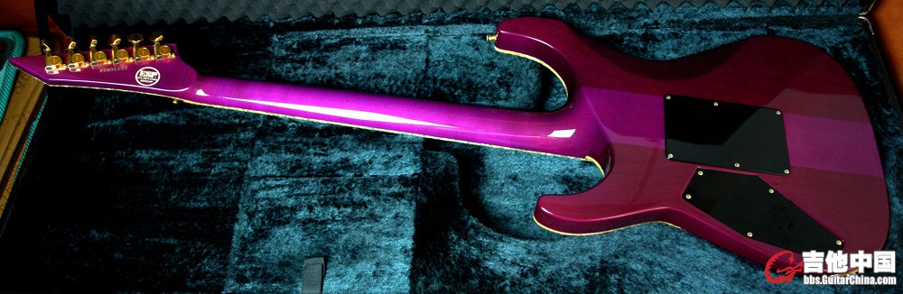 ESP Horizon Custom Shop_6.jpg