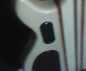 IMG0946A.jpg