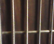 IMG0941A.jpg