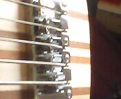 IMG0956A.jpg