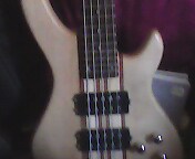 IMG0933A.jpg