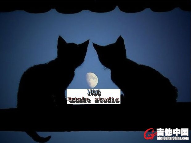 夜猫.jpg