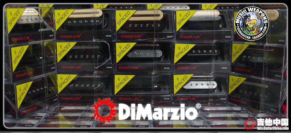 DIMARZIO 5.jpg