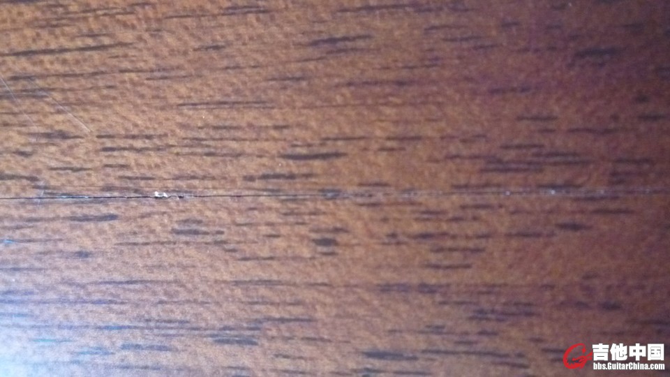 P1070463.jpg