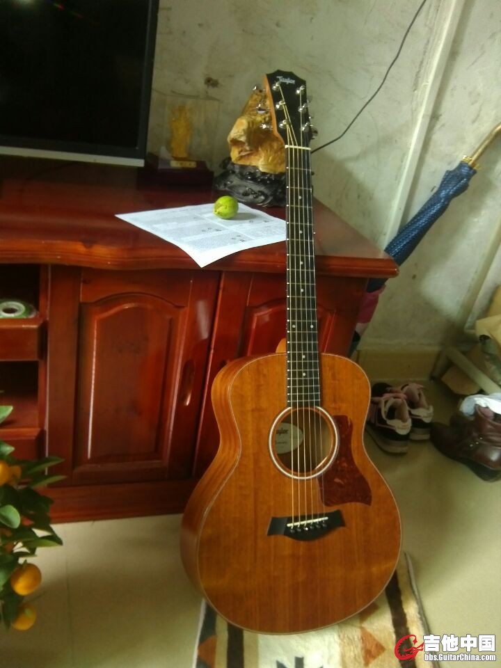 gs mini7.jpg