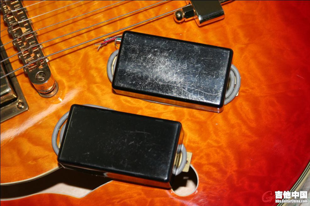 GIBSON 1.jpg