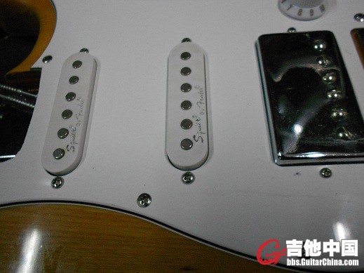 DSCN0731.JPG