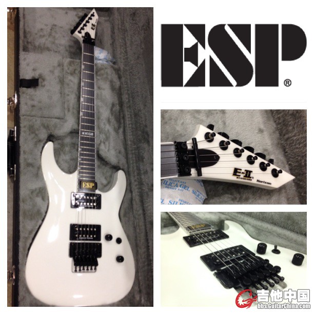 ESP HORIZON FR SW