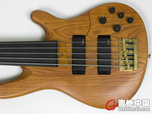 Yamaha TRB 5 Frettless-2.jpg