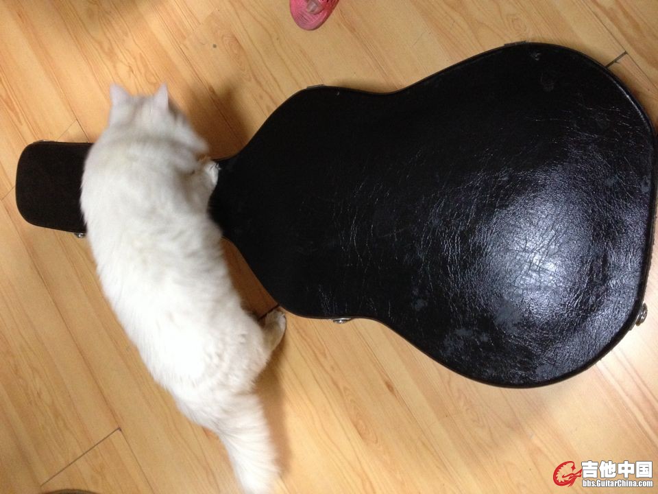 QQ图片20140313171257.jpg