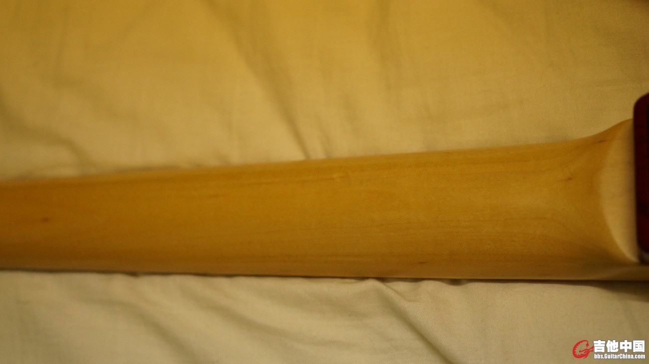 DSC02108.jpg