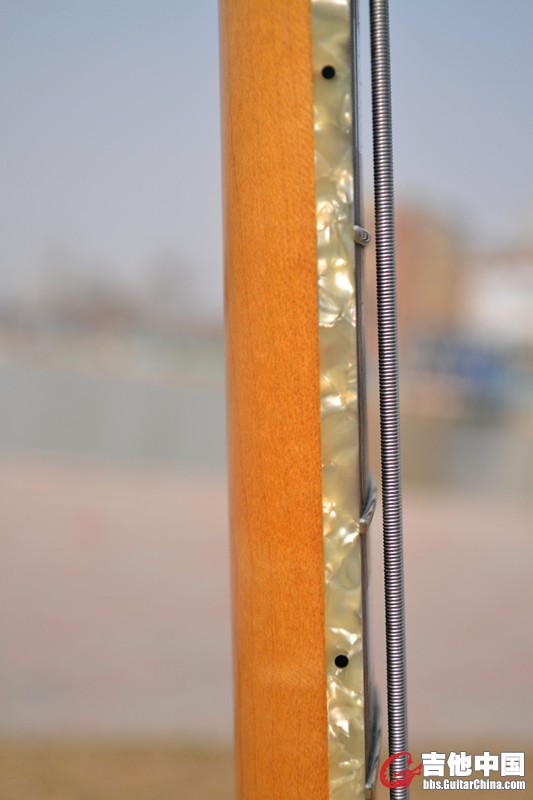DSC_0117.jpg
