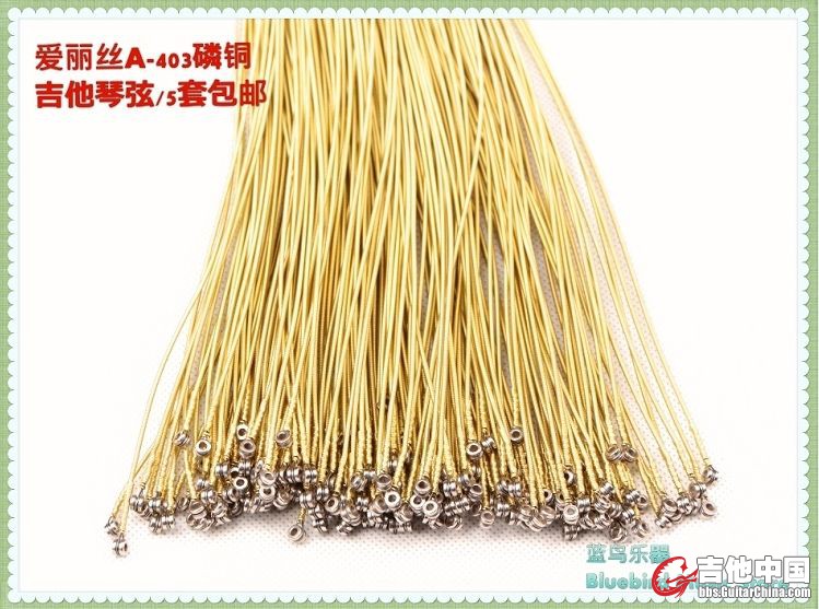 爱丽丝3.jpg