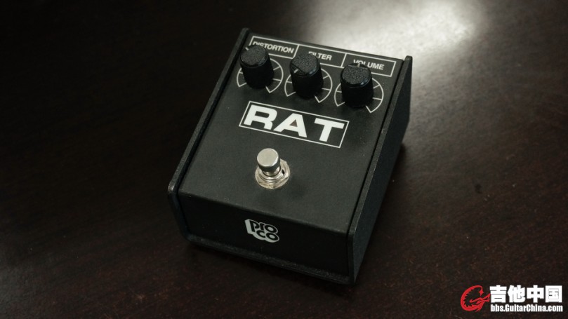 RAT1.jpg