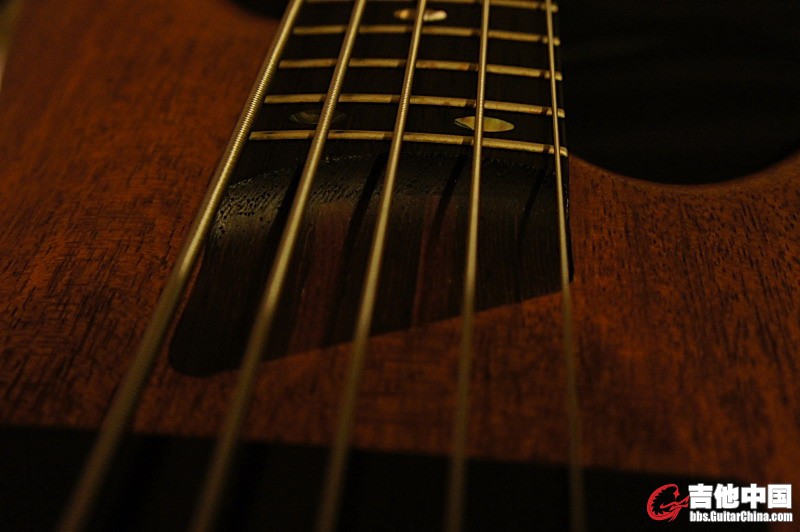 DSC04597 (800x532).jpg