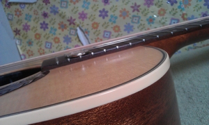 IMAG0025.jpg