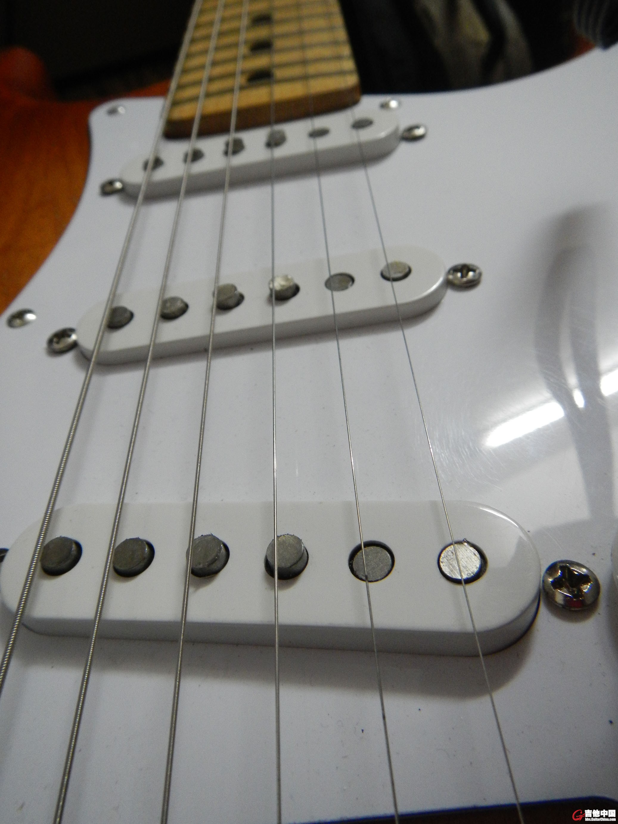 DSCN0362.JPG