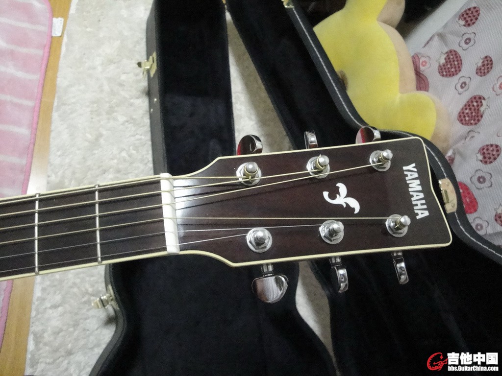 DSC06795_调整大小.JPG