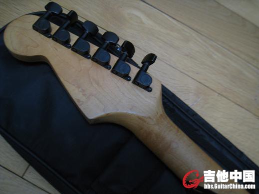 schecter. bai. 021.jpg