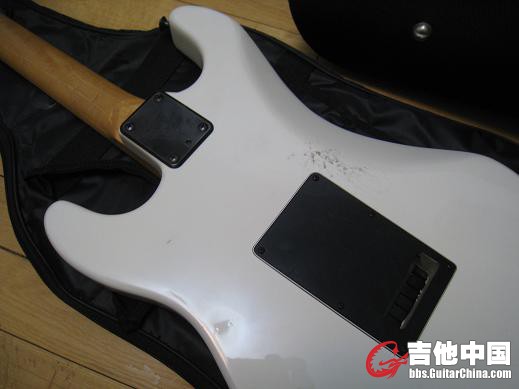 schecter. bai. 019.jpg