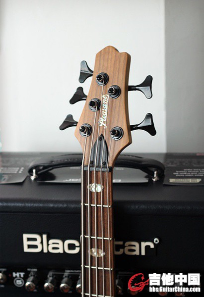 bass2.jpg