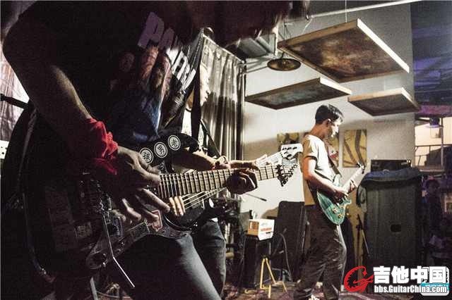 Rock Zoo